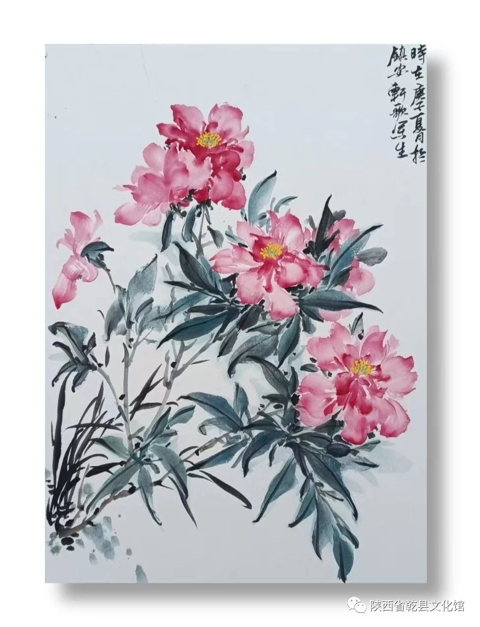 微信图片_20240312103514.jpg