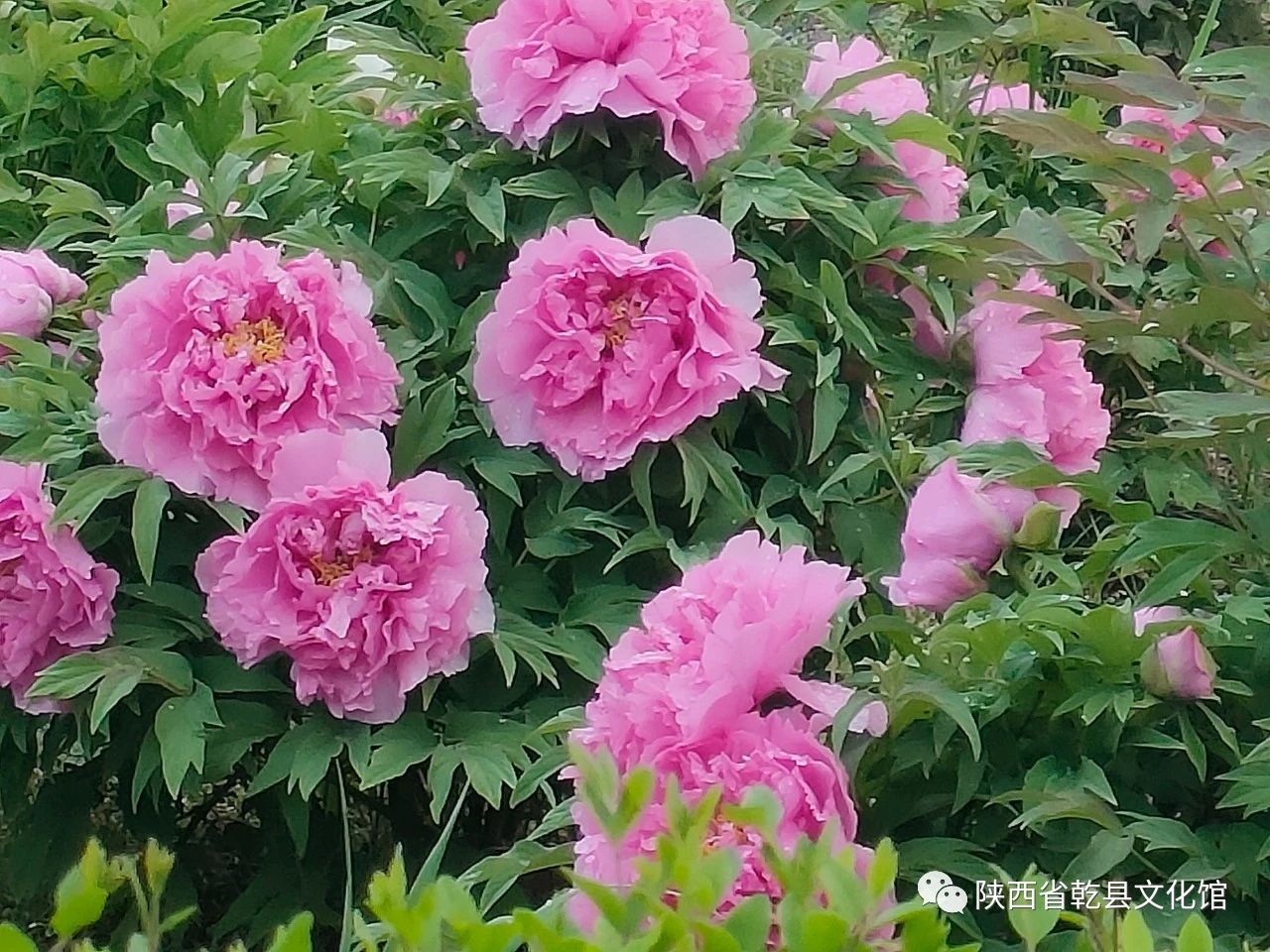 微信图片_20230801173431.jpg